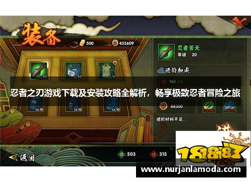 忍者之刃游戏下载及安装攻略全解析，畅享极致忍者冒险之旅